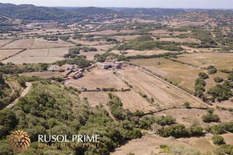 Finca till salu Ferreries, Menorca, Spanien 10 sovrum, 1085 kvm. Nr. 10950 - foto 3