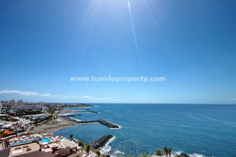 Lägenhet till salu i San Eugenio, Tenerife, Spanien 3 sovrum, 192 kvm. Nr. 24371 - foto 24