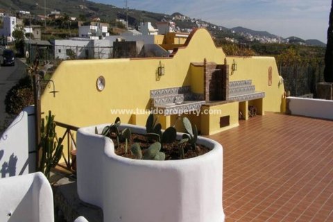 Villa till salu i San Miguel de Abona, Tenerife, Spanien 2 sovrum, 2900 kvm. Nr. 24355 - foto 15