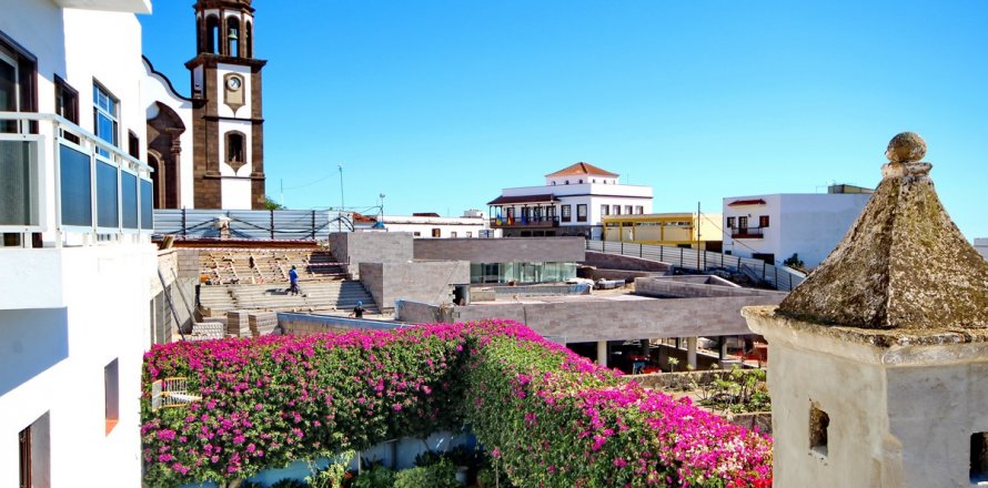 Finca Arico, Tenerife, Spanien 10 sovrum, 290 kvm. Nr. 24534
