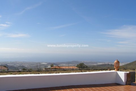 Villa till salu i San Miguel de Abona, Tenerife, Spanien 2 sovrum, 2900 kvm. Nr. 24355 - foto 12