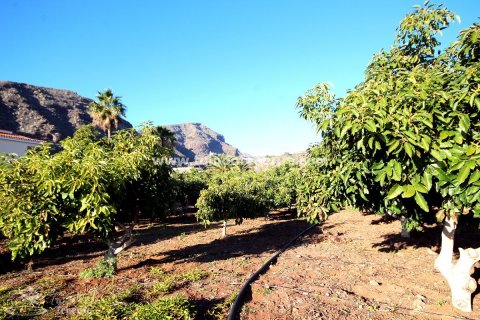 Finca till salu i Puerto de Santiago, Tenerife, Spanien 2 sovrum, 62 kvm. Nr. 24638 - foto 6