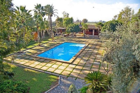 Villa till salu i Almoradi, Alicante, Spanien 4 sovrum, 732 kvm. Nr. 29372 - foto 15