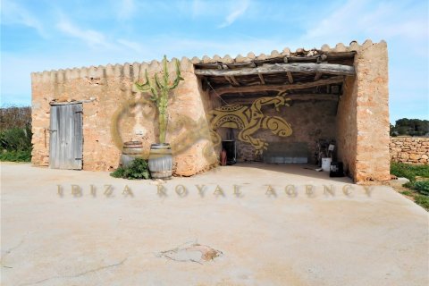 Villa till salu i Cap De Barbaria, Formentera, Spanien 3 sovrum, 135 kvm. Nr. 30850 - foto 5
