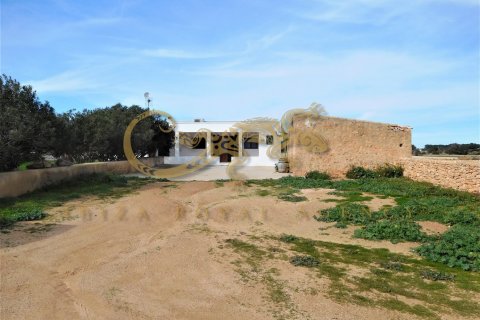 Villa till salu i Cap De Barbaria, Formentera, Spanien 3 sovrum, 135 kvm. Nr. 30850 - foto 3