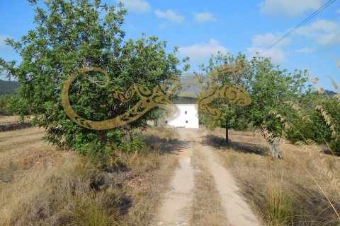 Villa till salu i Sant Joan de Labritja, Ibiza, Spanien 4 sovrum, 187 kvm. Nr. 30864 - foto 3