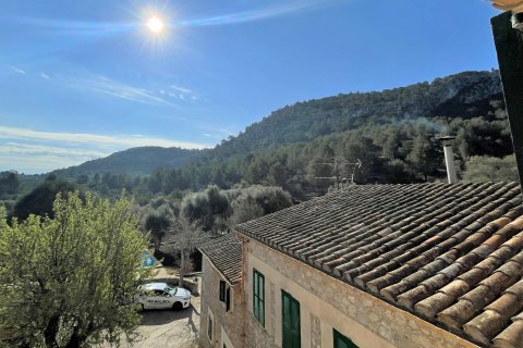 Finca för uthyrning i Pollenca, Mallorca, Spanien 9 sovrum, 680 kvm. Nr. 37007 - foto 3