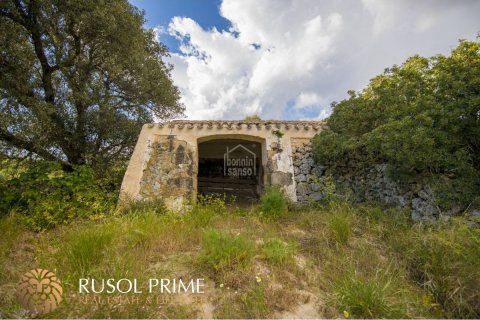 Finca till salu i Alaior, Menorca, Spanien 10 sovrum, 548 kvm. Nr. 38962 - foto 16