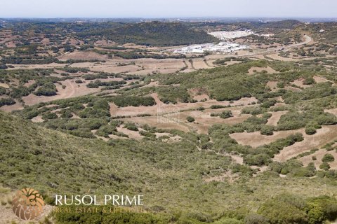 Finca till salu Ferreries, Menorca, Spanien 10 sovrum, 1085 kvm. Nr. 10950 - foto 19