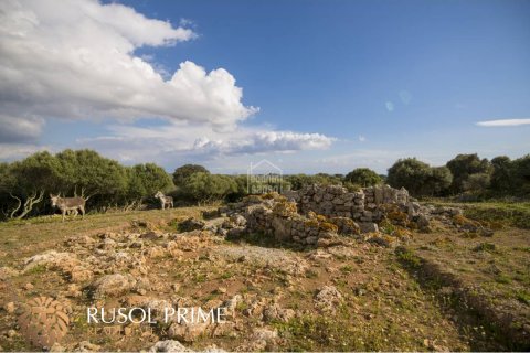 Finca till salu i Alaior, Menorca, Spanien 10 sovrum, 548 kvm. Nr. 38962 - foto 4