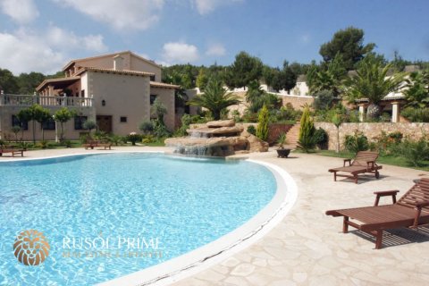 Villa till salu i Ibiza town, Ibiza, Spanien 9 sovrum, 4200 kvm. Nr. 38218 - foto 2