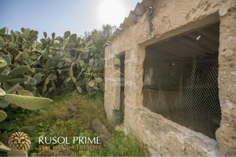 Finca till salu i Alaior, Menorca, Spanien 10 sovrum, 548 kvm. Nr. 38962 - foto 8