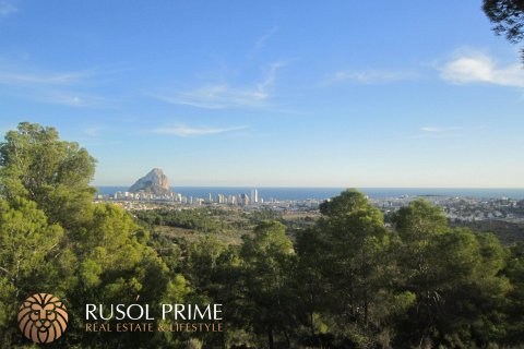 Tomt till salu i Benissa, Alicante, Spanien 33500 kvm. Nr. 39403 - foto 1