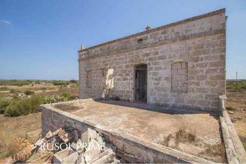 Finca till salu i Ciutadella De Menorca, Menorca, Spanien 10 sovrum, 898 kvm. Nr. 11280 - foto 10