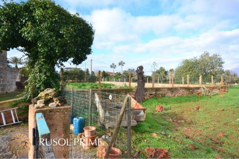 Finca till salu Manacor, Mallorca, Spanien 4 sovrum, 200 kvm. Nr. 11358 - foto 6