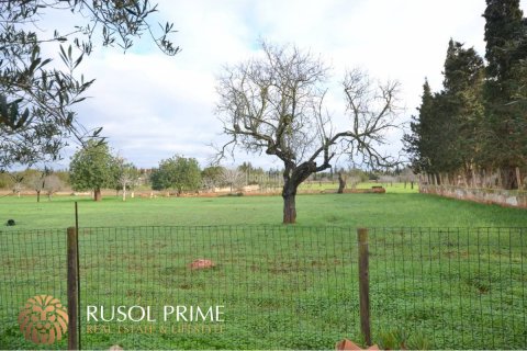 Finca till salu Manacor, Mallorca, Spanien 4 sovrum, 200 kvm. Nr. 11358 - foto 5