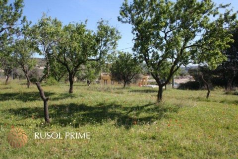 Villa till salu Benissa, Alicante, Spanien 5 sovrum, 272 kvm. Nr. 39353 - foto 8
