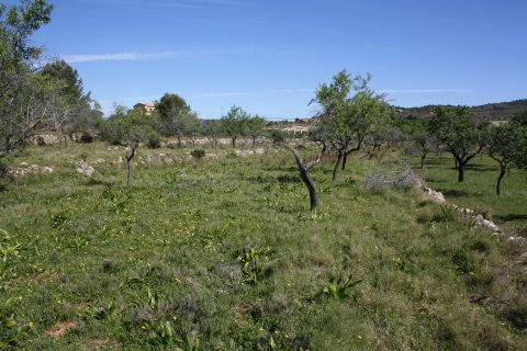 Villa till salu Benissa, Alicante, Spanien 5 sovrum, 272 kvm. Nr. 24862 - foto 16