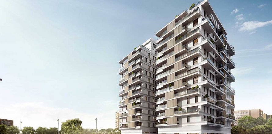 Linneo Valencia, Spanien Nr. 41077