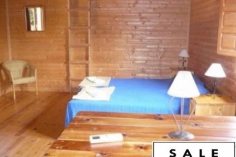 Hotell till salu i Alicante, Spanien 40 sovrum, 460 kvm. Nr. 45764 - foto 4