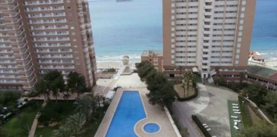 Lägenhet i Benidorm, Alicante, Spanien 1 sovrum, 55 kvm. Nr. 44487