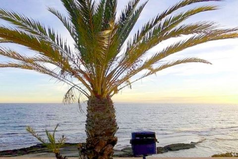 Villa till salu Alicante, Spanien 8 sovrum, 550 kvm. Nr. 45029 - foto 7