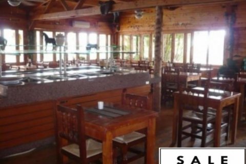 Hotell till salu Alicante, Spanien 40 sovrum, 460 kvm. Nr. 45764 - foto 5
