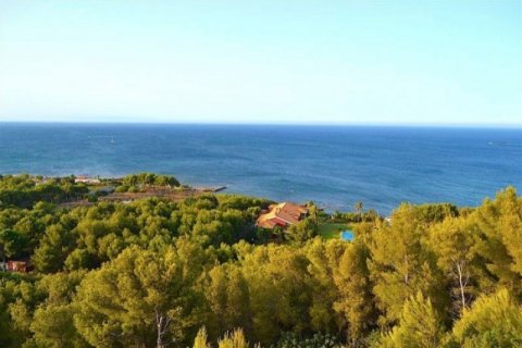 Villa till salu i Denia, Alicante, Spanien 12 sovrum, 2.5 kvm. Nr. 45408 - foto 6