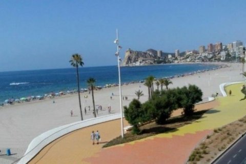 Kommersiell fastighet till salu Benidorm, Alicante, Spanien Nr. 44033 - foto 5