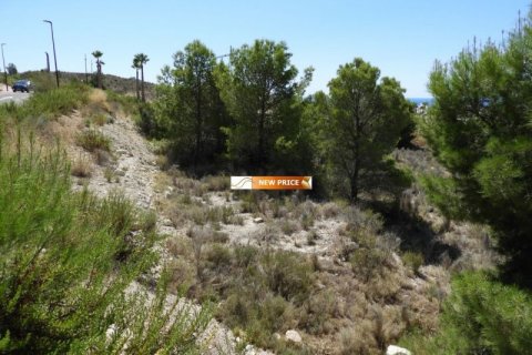 Tomt till salu i Finestrat, Alicante, Spanien Nr. 45087 - foto 7