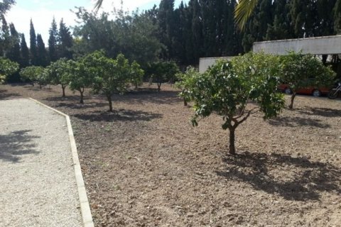 Villa till salu Alicante, Spanien 6 sovrum, 450 kvm. Nr. 45369 - foto 6