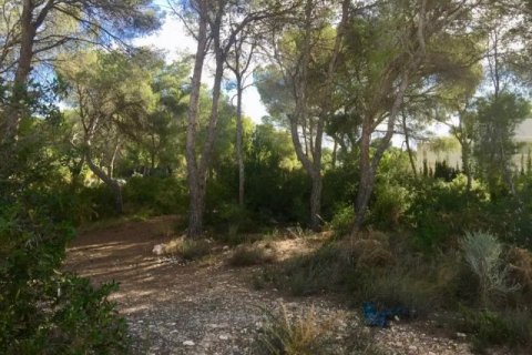 Tomt till salu i Benissa, Alicante, Spanien Nr. 44039 - foto 5