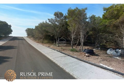 Tomt till salu i Es Mercadal, Menorca, Spanien 4850 kvm. Nr. 46946 - foto 4