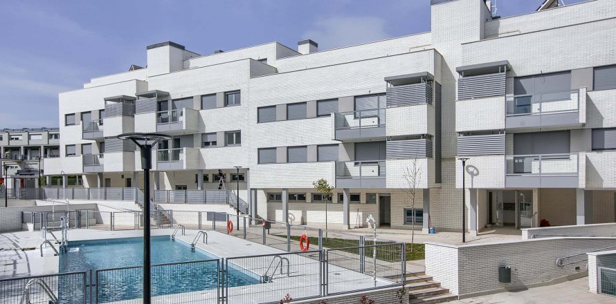 Suite43 Madrid, Spanien Nr. 41355