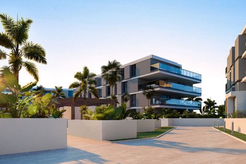 Amaire Alicante, Spanien Nr. 41192 - foto 2