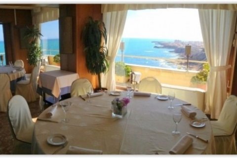 Hotell till salu i Alicante, Spanien 50 sovrum, 4443 kvm. Nr. 45913 - foto 6
