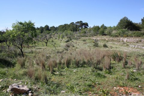 Villa till salu Benissa, Alicante, Spanien 5 sovrum, 272 kvm. Nr. 24862 - foto 12
