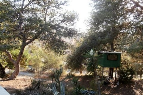 Villa till salu Benidorm, Alicante, Spanien 380 kvm. Nr. 44976 - foto 4