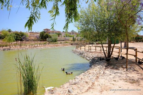 Lägenhet till salu i Benijofar, Alicante, Spanien 3 sovrum, 96 kvm. Nr. 49284 - foto 13