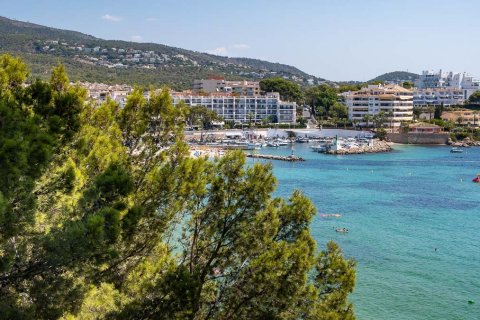 Lägenhet till salu i Palmanova, Mallorca, Spanien 4 sovrum, 220 kvm. Nr. 51477 - foto 1