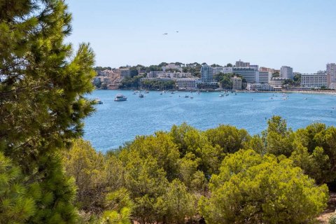 Lägenhet till salu i Palmanova, Mallorca, Spanien 4 sovrum, 220 kvm. Nr. 51477 - foto 2