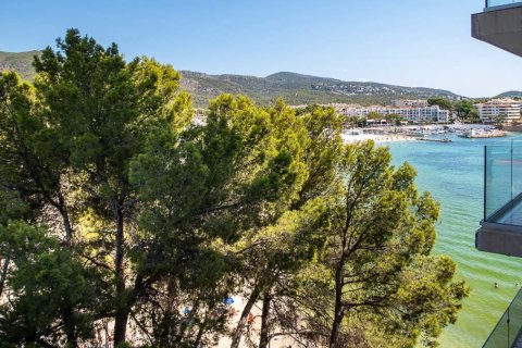 Lägenhet till salu i Palmanova, Mallorca, Spanien 4 sovrum, 220 kvm. Nr. 51477 - foto 17