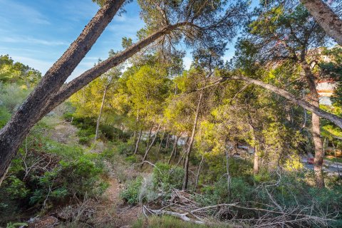 Tomt till salu i Port D'andratx, Mallorca, Spanien 1022 kvm. Nr. 51308 - foto 4