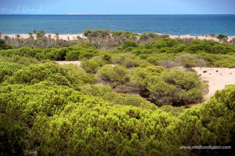 Lägenhet till salu i Guardamar del Segura, Alicante, Spanien 3 sovrum, 71 kvm. Nr. 53591 - foto 13