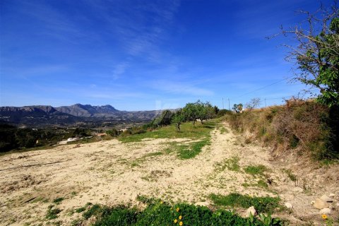 Tomt till salu Benissa, Alicante, Spanien Nr. 54440 - foto 2