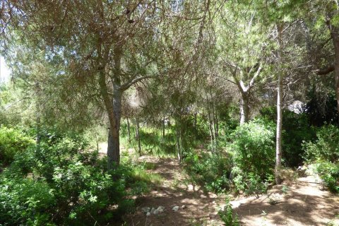 Tomt till salu i Benissa, Alicante, Spanien Nr. 54276 - foto 13