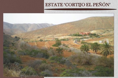 Finca till salu i Betancuria, Fuerteventura, Spanien 16 sovrum, 2000 kvm. Nr. 55177 - foto 23