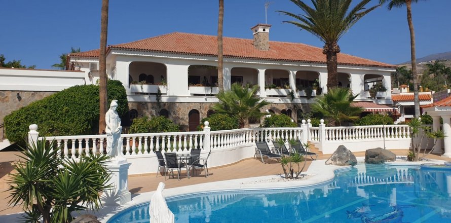 Villa in Callao Salvaje, Tenerife, Spain 8 bedrooms, 730 sq.m. No. 18386
