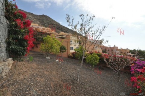 Villa for sale in Torviscas, Tenerife, Spain 3 bedrooms, 400 sq.m. No. 18327 - photo 17