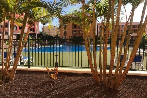 Apartment for sale in Palm-Mar, Tenerife, Spain 2 bedrooms, 100 sq.m. No. 18370 - photo 1